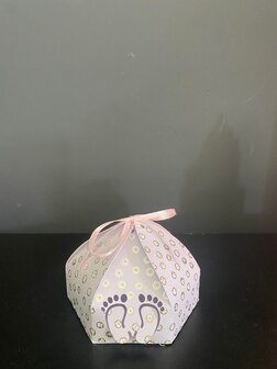 10 Doopsuiker kubusdoosjes met voetjes
