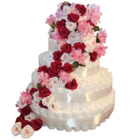 Tweeling pampertaart - Twins 