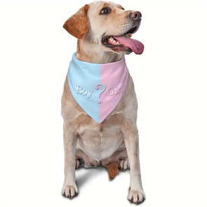 Hondenbandana “Gender reveal"
